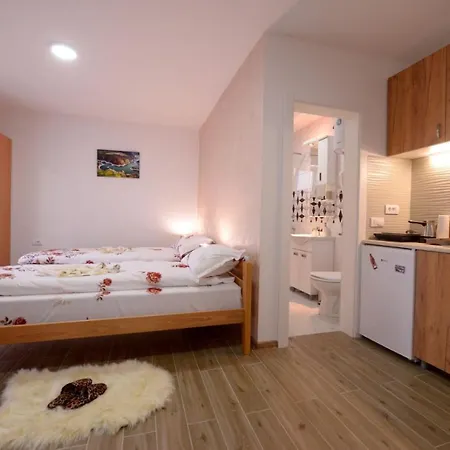 Apartment Rvovic Nova Varos