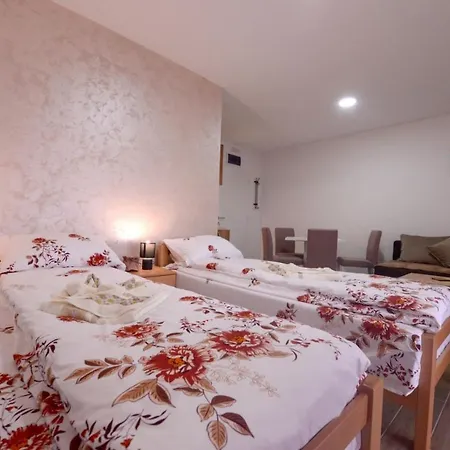 Rvovic Apartment *