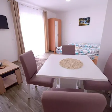Rvovic Apartment