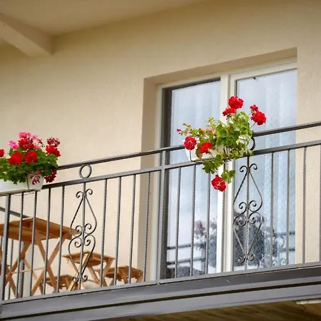 Apartment Rvovic Nova Varos