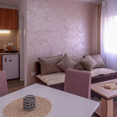 Rvovic Apartment *