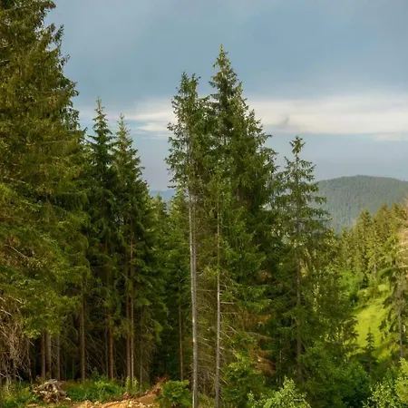 Apartament Rvovic Nova Varoš