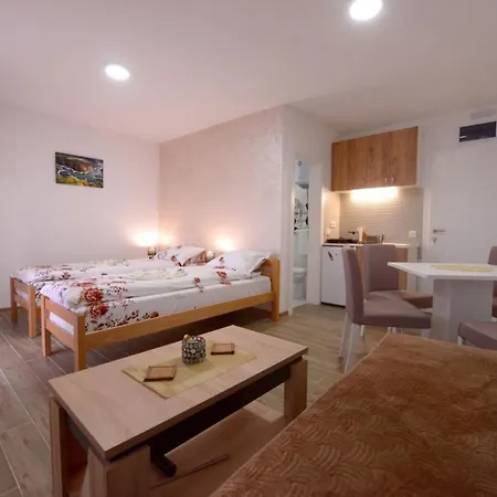 Apartment Rvovic *