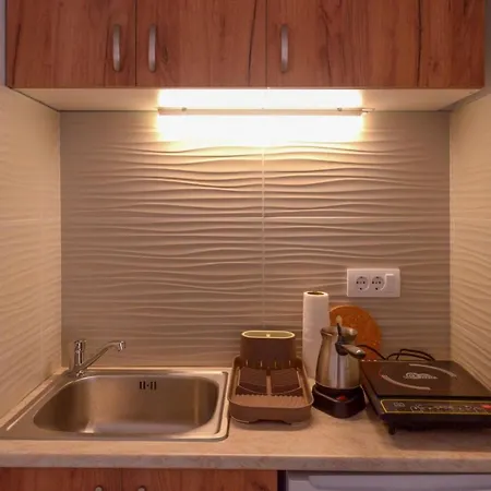 Rvovic Apartment *