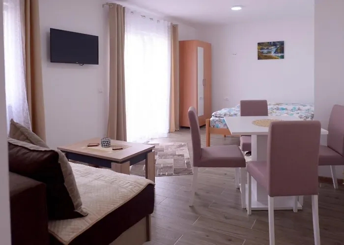 Rvovic Apartment Nova Varoš
