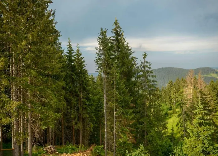 Apartment Rvovic Nova Varoš