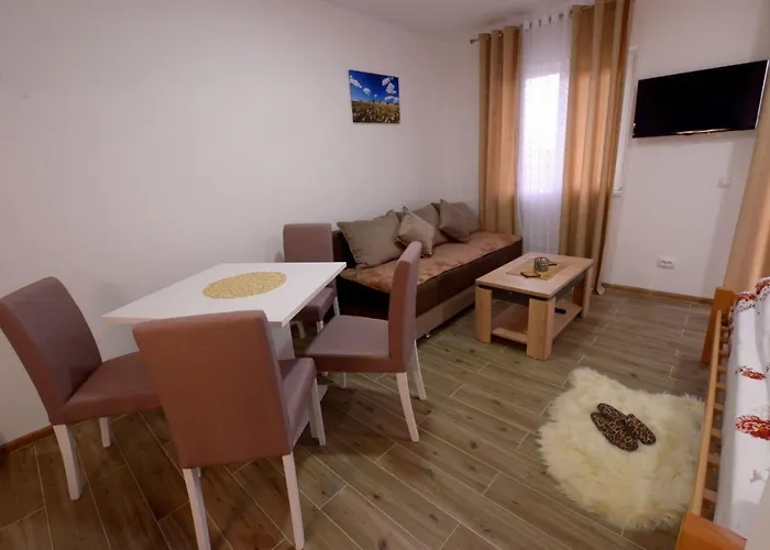 Rvovic Apartment Nova Varoš